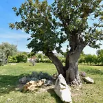 All'ombra Del Carrubo 아볼라